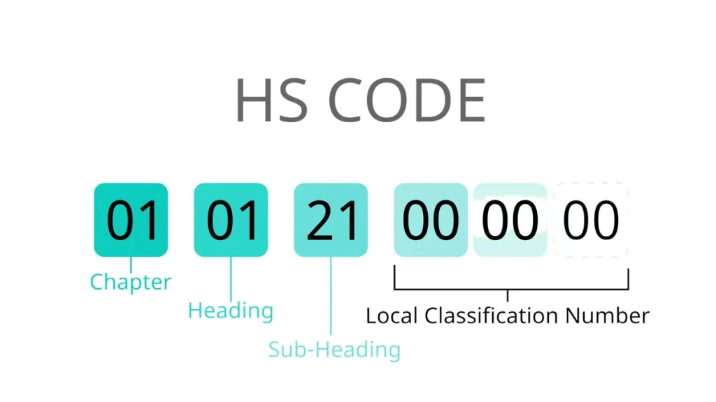 HS Code Differences Across Asia: A Practical Guide for Exporters
