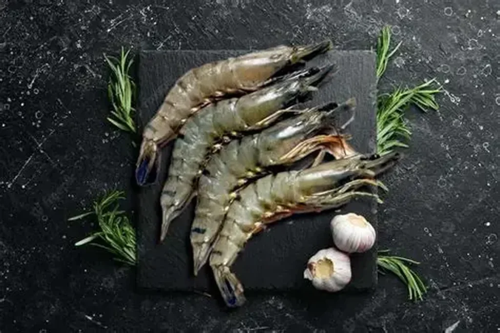 Shrimp HS Codes in Asia: Why the Same Product Gets Different Classifications