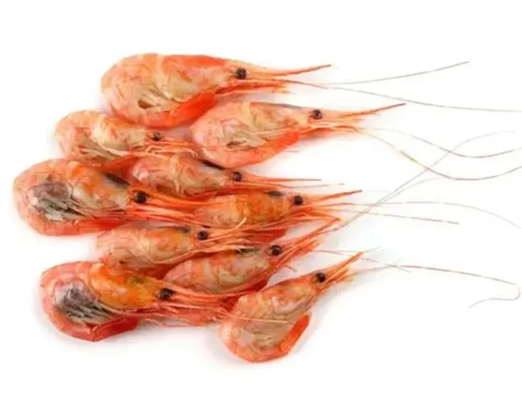 Shrimp HS Codes in Asia: Why the Same Product Gets Different Classifications