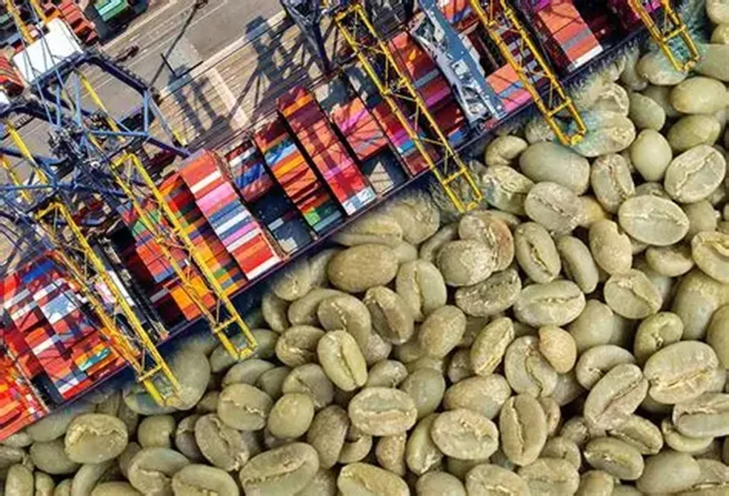 China's Coffee Imports Slow: What the H1 2026 Data Shows