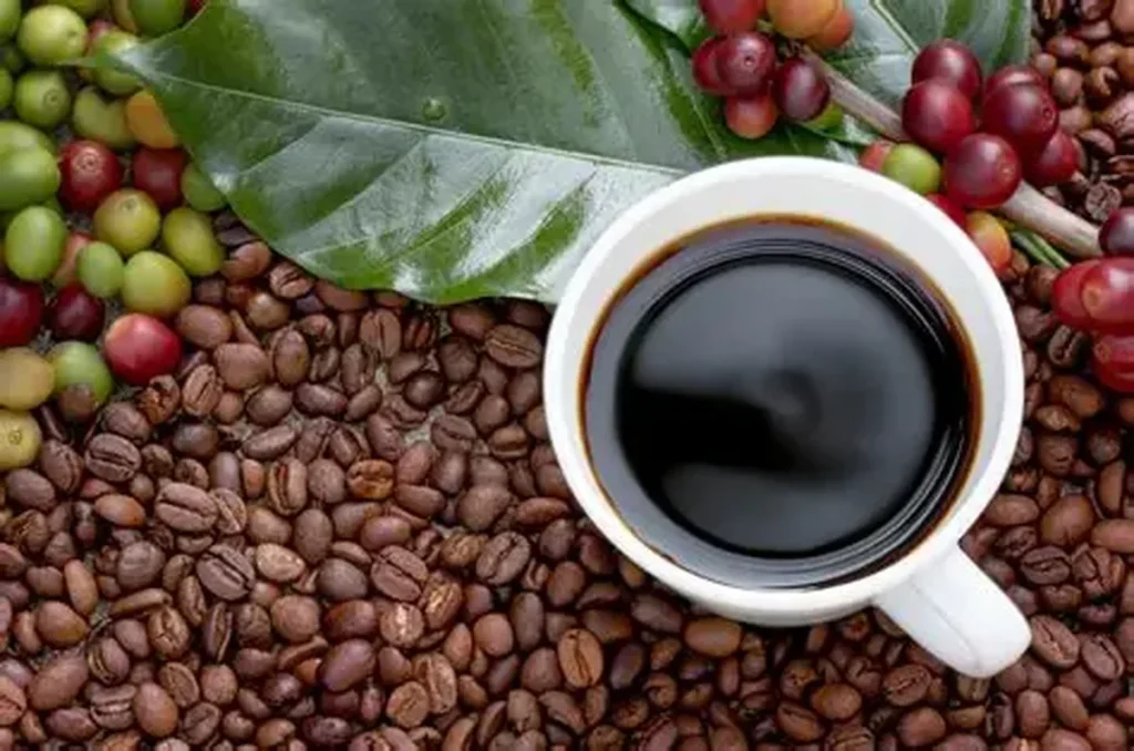 China's Coffee Imports Slow: What the H1 2026 Data Shows