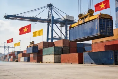 Vietnam food import cover